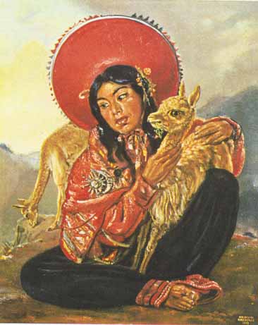 Vicunas (Cuzco Vigognas)