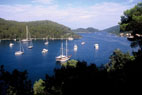 Island of Mljet, national park (photo Mladen Zubrinic)